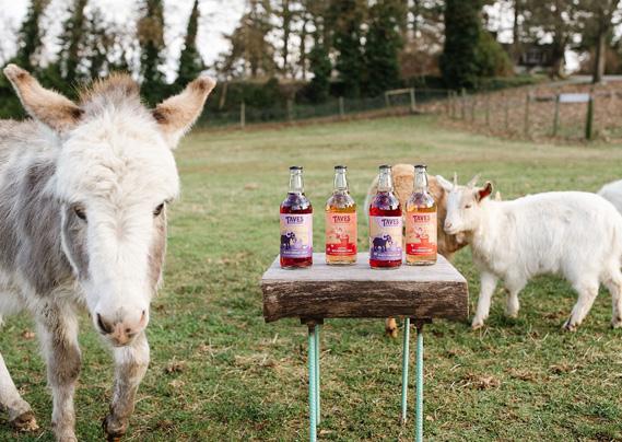 slider-home-donkey-cider