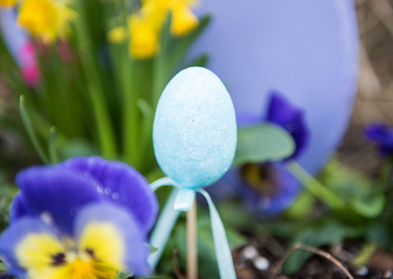 slider-home-easter-3