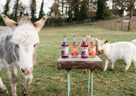 slider-home-donkey-cider