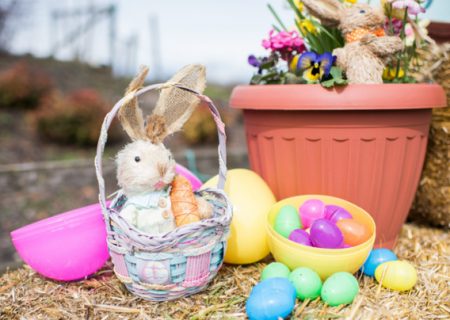slider-home-easter-1